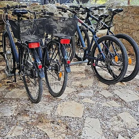 Dubravka Апартаменты *